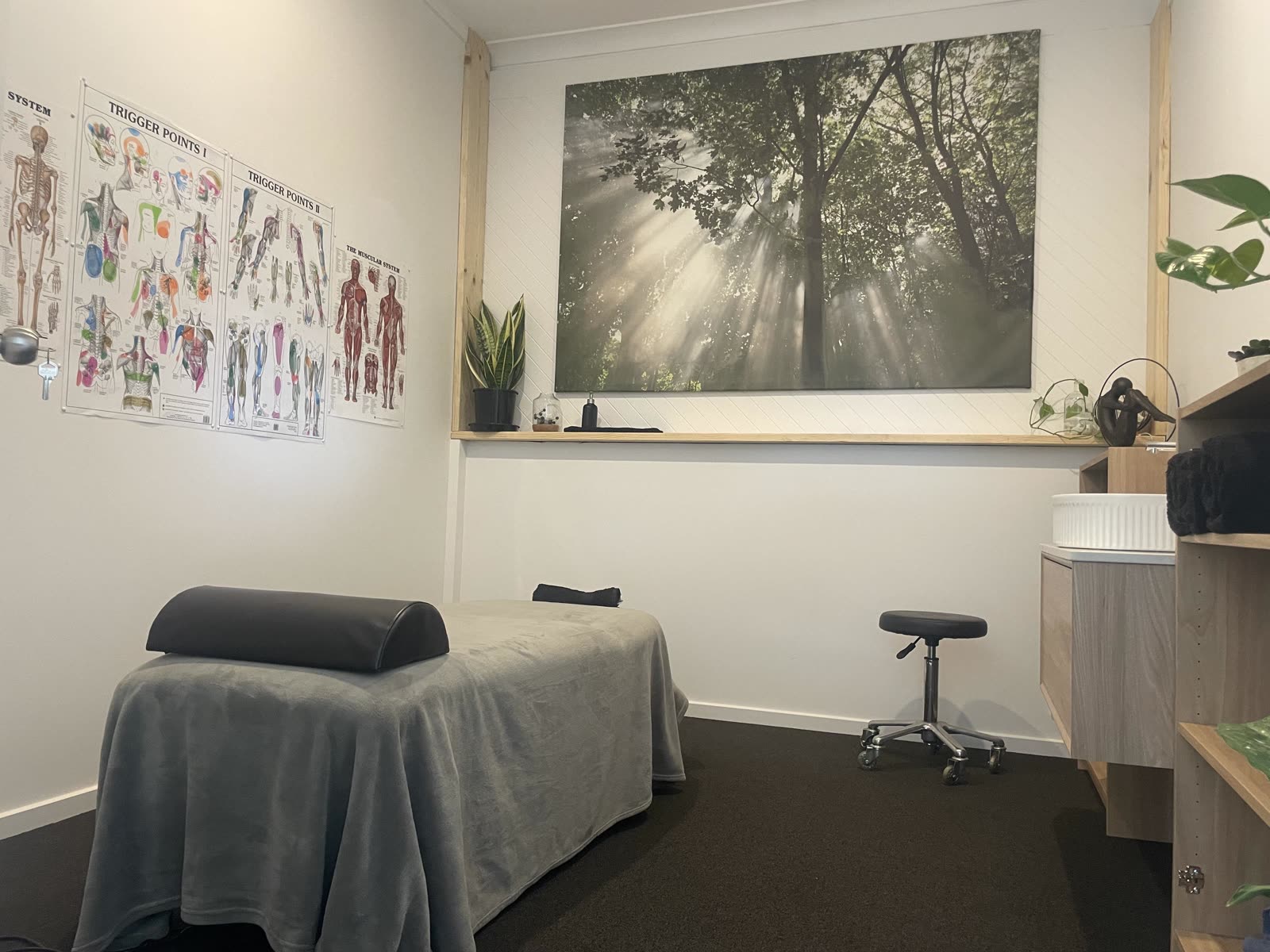 Treatment room with massage table, anatomy charts and plants