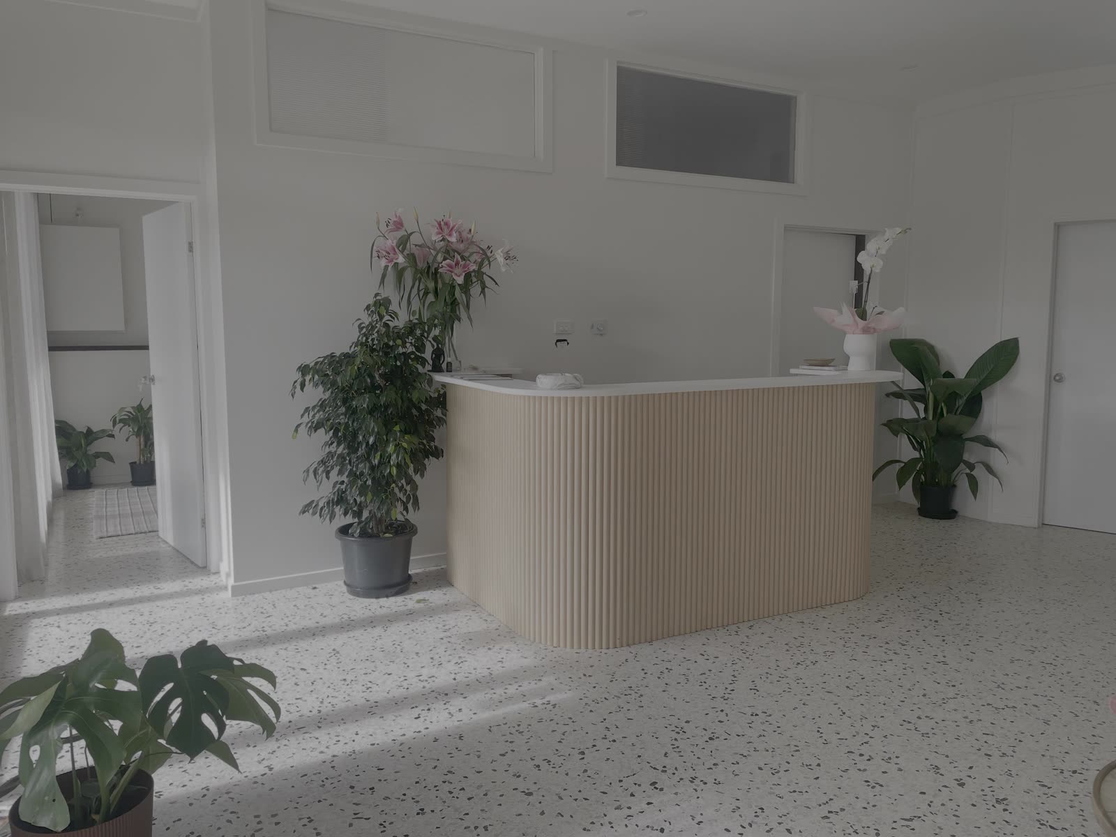 Reception with a curved fluted timber desk, terrazzo floor and indoor plants